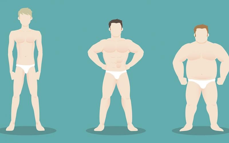 3 Body Types - Ectomorph, Mesomorph and Endomorph